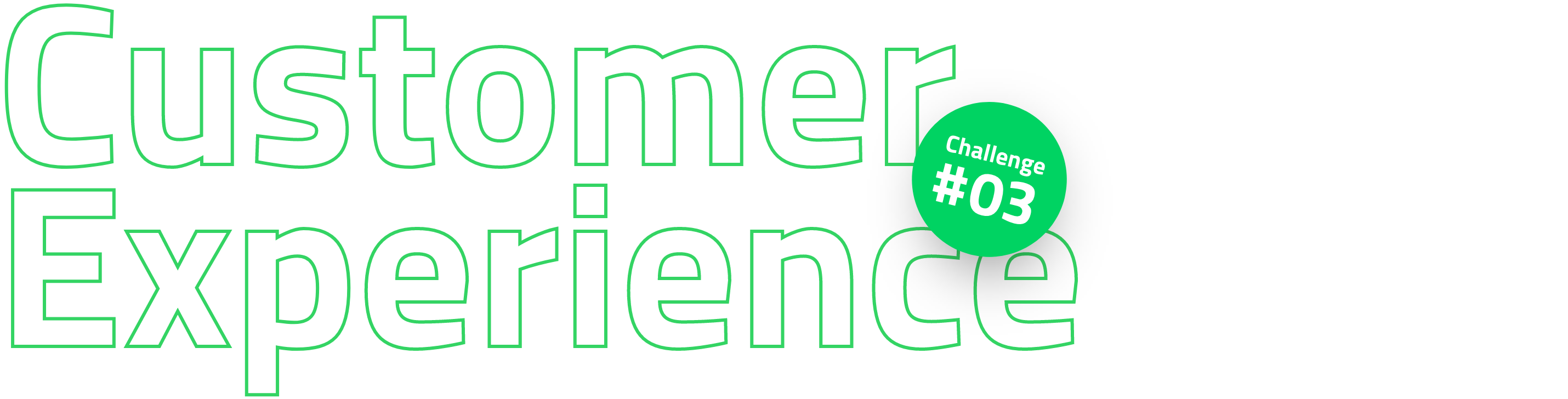 Customer Experience Customer Experience